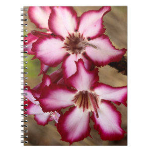 Impala Lily (Adenium Multiflorum), Kruger Notebook