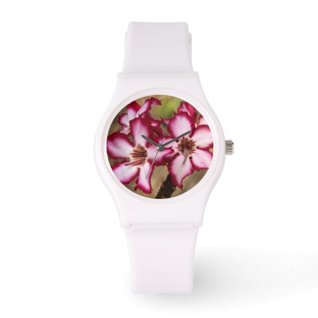 Impala Lily (Adenium Multiflorum), Kruger Watch (Front)