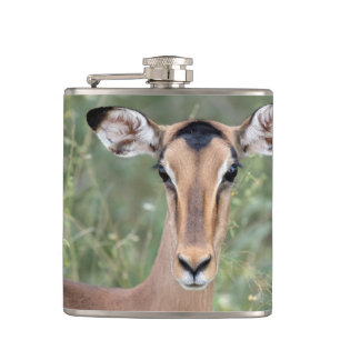 Impala Portrait Hip Flask