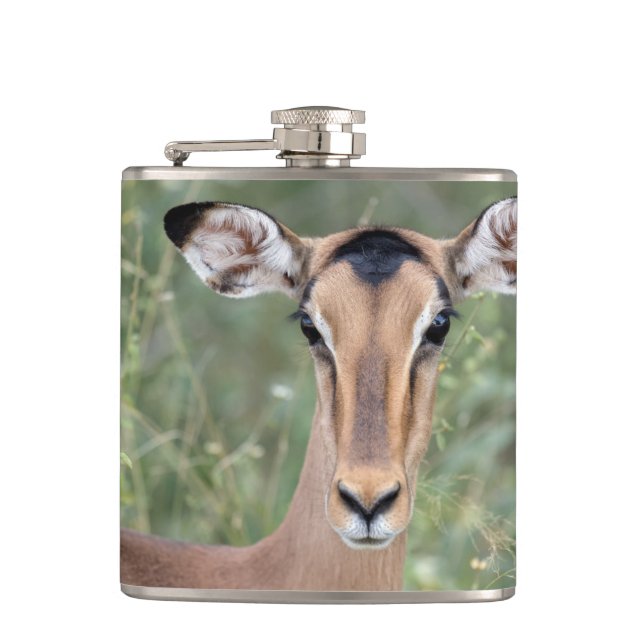 Impala Portrait Hip Flask (Front)