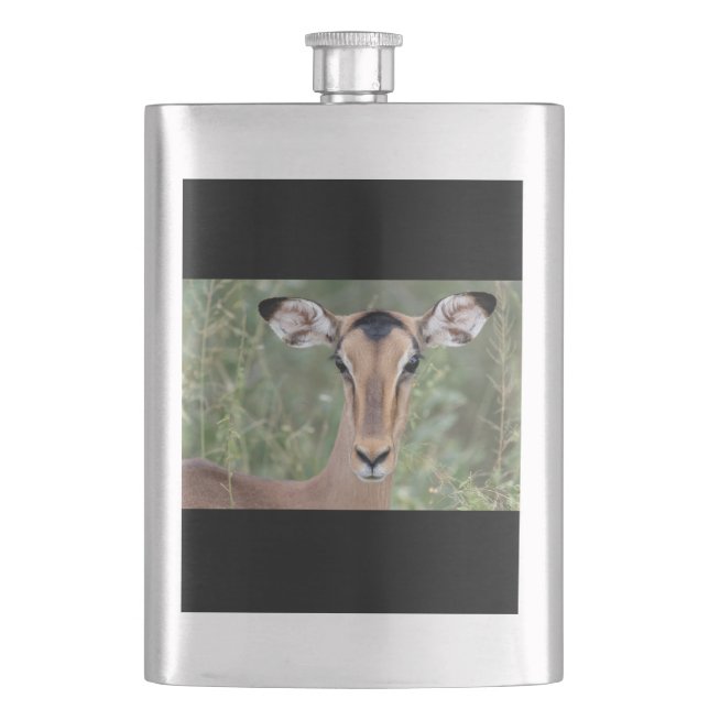 Impala Portrait Hip Flask (Front)