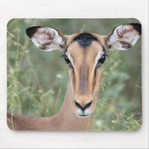 Impala Portrait Mouse Mat