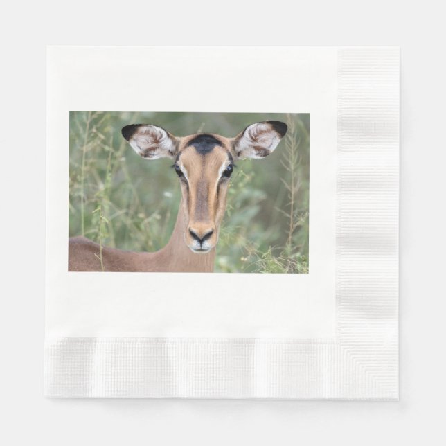 Impala Portrait Napkin (Front)