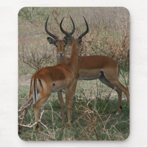Impalas on the Serengeti Mouse Mat