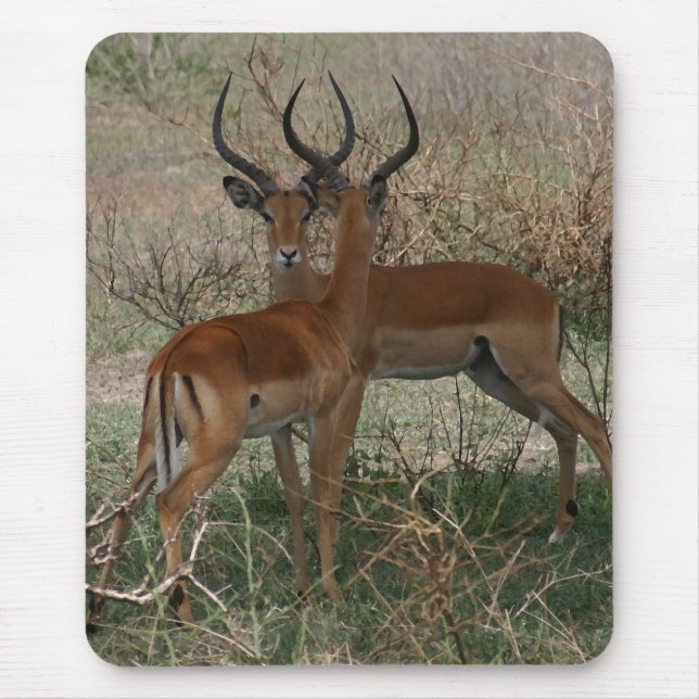 Impalas on the Serengeti Mouse Mat (Front)