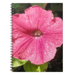 Impatiens Dark Pink Notebook