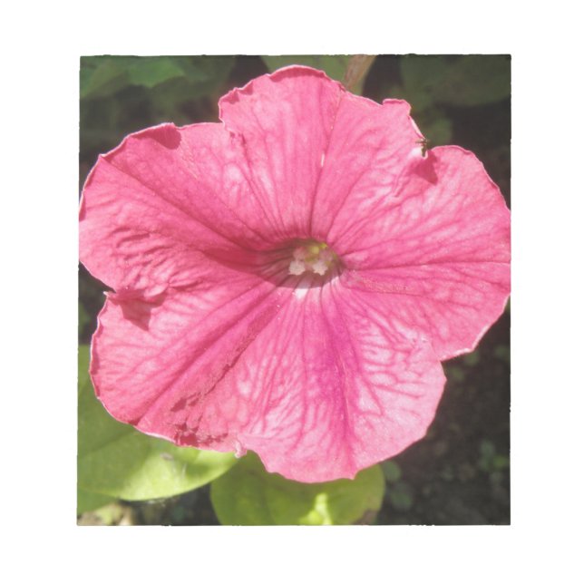 Impatiens Dark Pink Notepad (Front)
