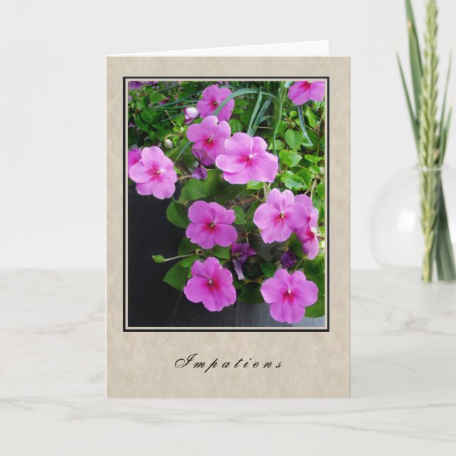 Impatiens - Floral Series Card (Front)