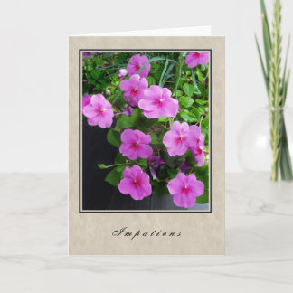 Impatiens - Floral Series Card