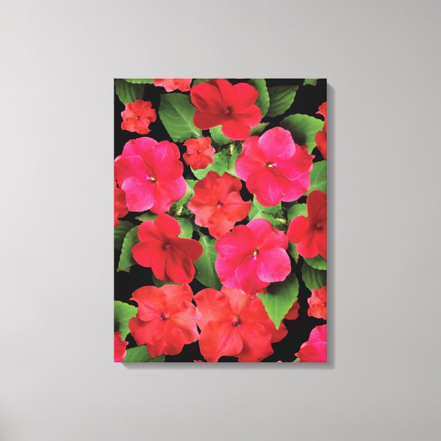 Impatiens Flowers Photograph Canvas Print (Front)