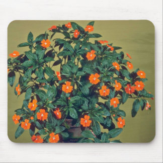 Impatiens, Orange glow Pink flowers Mouse Mat