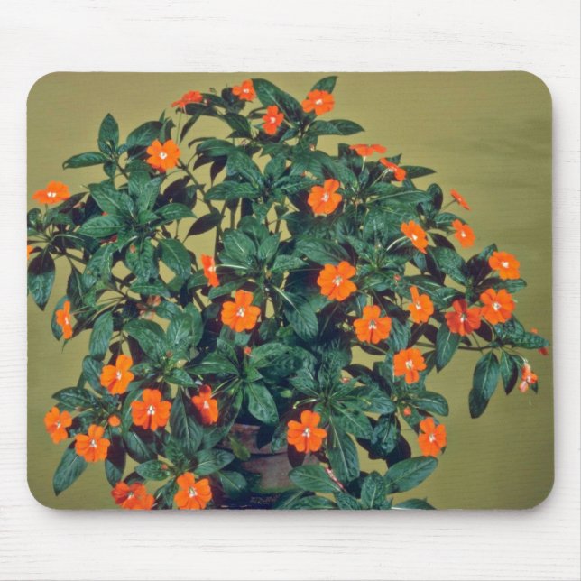 Impatiens, Orange glow Pink flowers Mouse Mat (Front)
