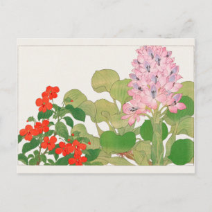 Impatiens, Water hyacinth by Tanigami Konan Postcard