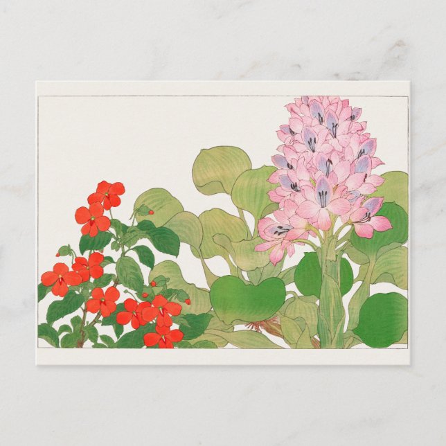 Impatiens, Water hyacinth by Tanigami Konan Postcard (Front)