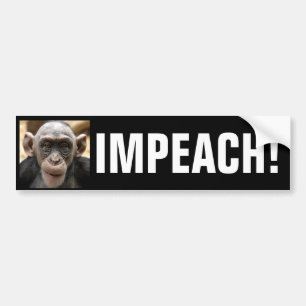 IMPEACH OBAMA! BUMPER STICKER