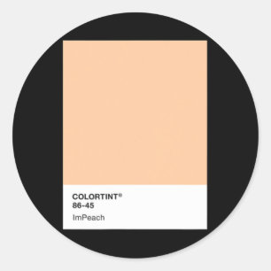 Impeach Trump 45 - Color Swatch  Classic Round Sticker