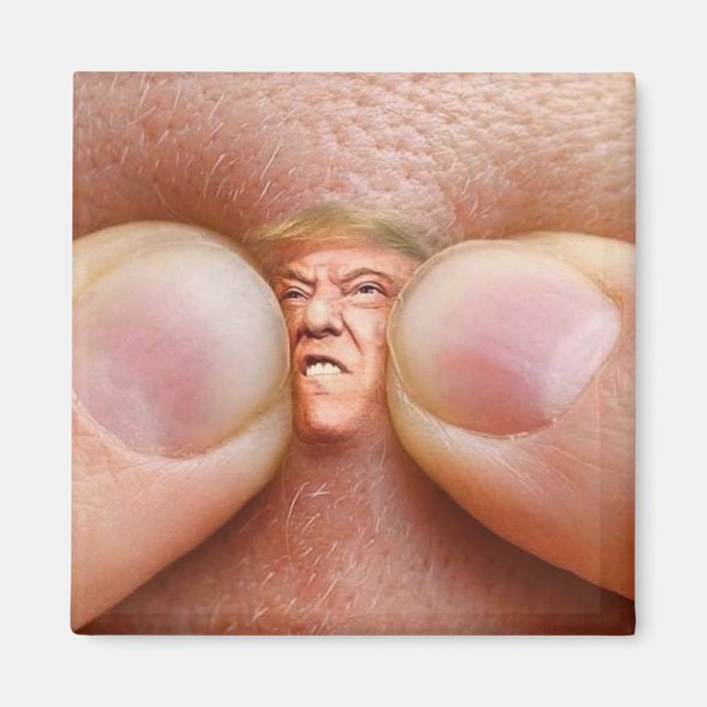impeach trump magnet (Front)
