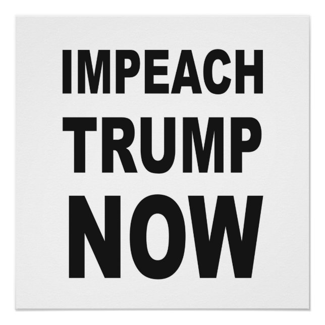 IMPEACH TRUMP NOW Protest Sign (Front)