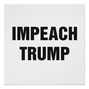 IMPEACH TRUMP Protest Sign