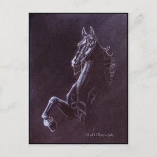 Imperator Postcard