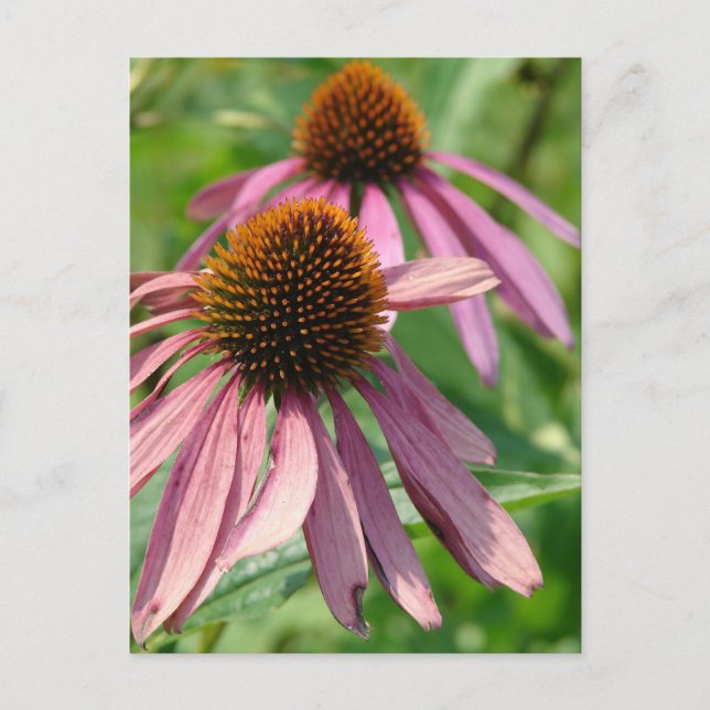 Imperfection Postcard (Front)