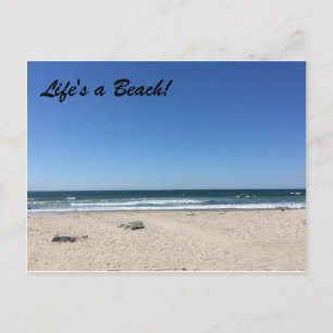Imperial Beach Postcard