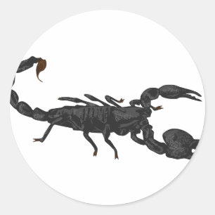 Imperial Black Scorpion Classic Round Sticker