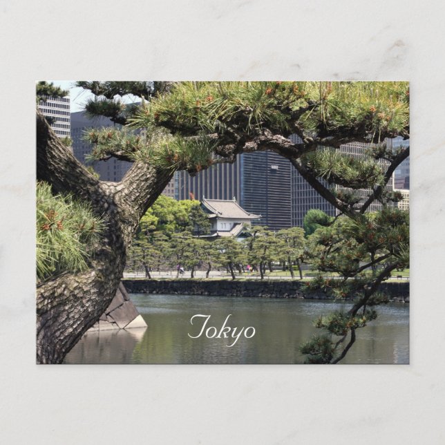 imperial complex postcard (Front)