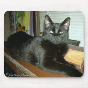 Imperial kitty mouse mat