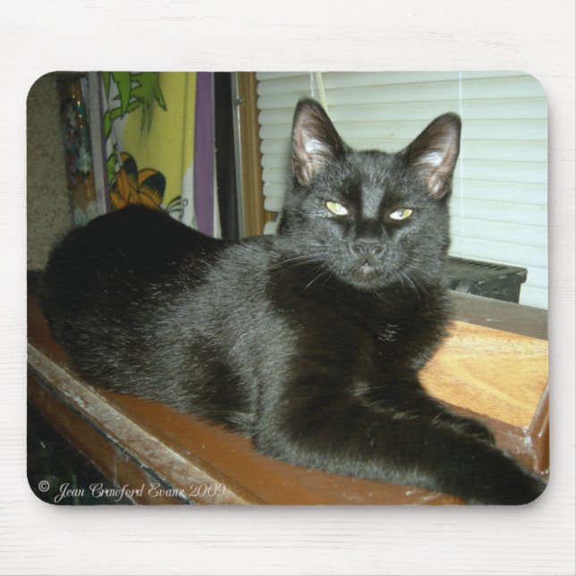 Imperial kitty mouse mat (Front)