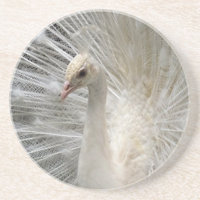 Imperial Peacock Coaster (Front)