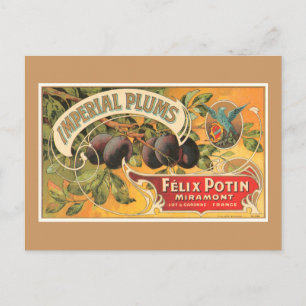 Imperial Plums Postcard