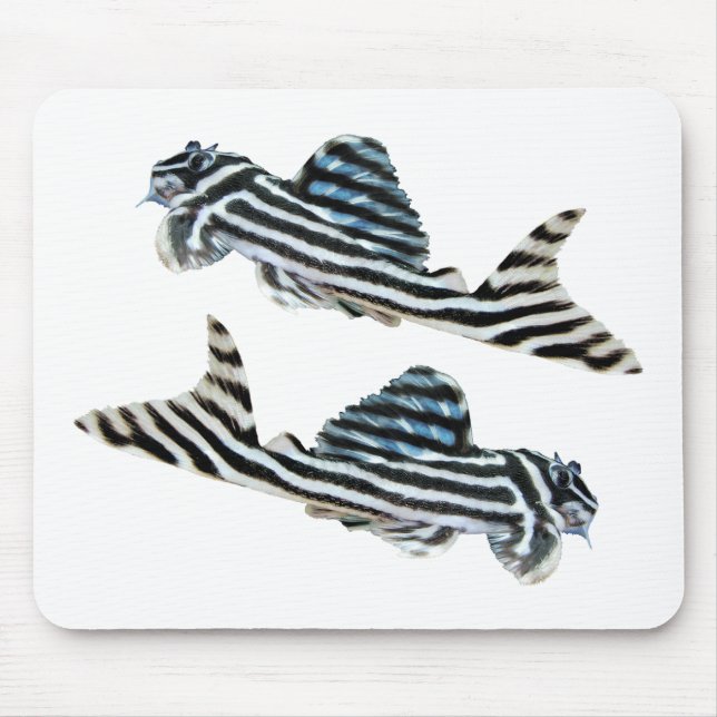 “Imperial Zebra Pleco”の優良製品 Mouse Mat (Front)
