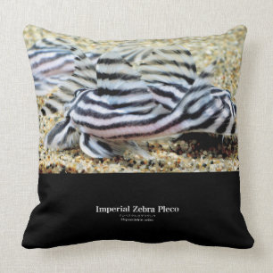 Imperial Zebra Pleco Cushion