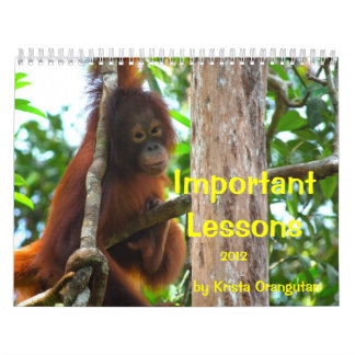 Important Lessons for Children by Krista Orangutan Calendar
