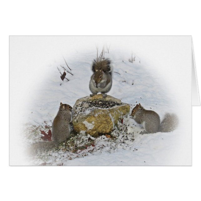 Important Meeting (Front Horizontal)