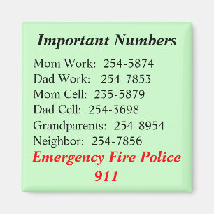 Important Numbers Magnet