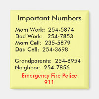 Important Numbers Magnet