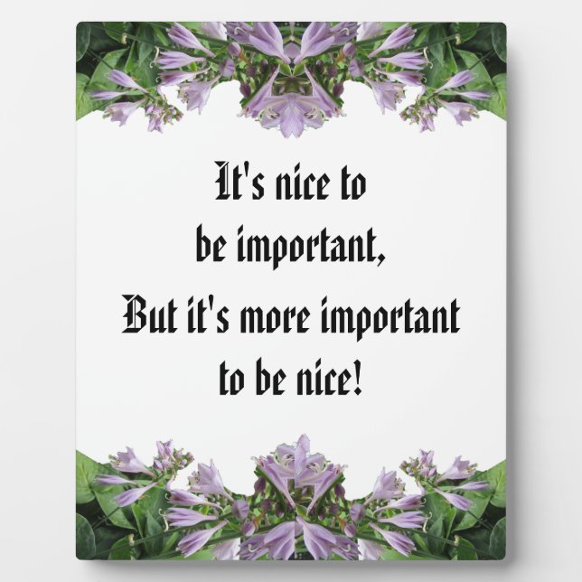 IMPORTANT TO BE NICE  PLAQUE (Front)
