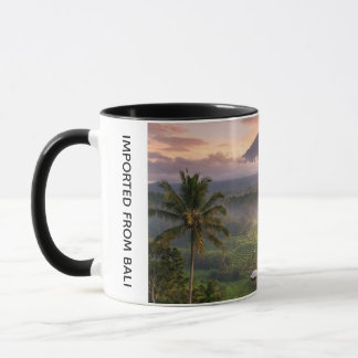 Imported From Bali For My Best Teacher Coffee Mug