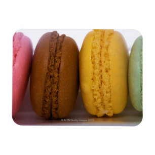 Imported gourmet French macarons (macaroons) Magnet