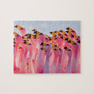 Impossible Puzzle - Flamingos