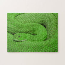 Impossible Puzzle - Green Snake