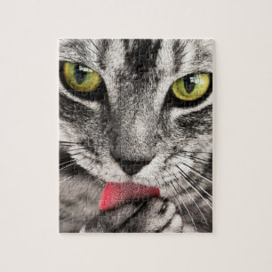 Impossible Puzzle - Grey striped cat