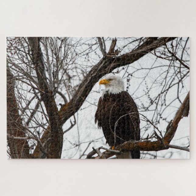 Impossible Puzzle - Haliaeetus (Horizontal)
