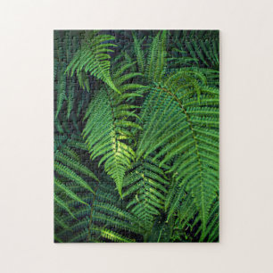 Impossible Puzzle - Jungle Ferns