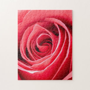 Impossible Puzzle - Macro Rose