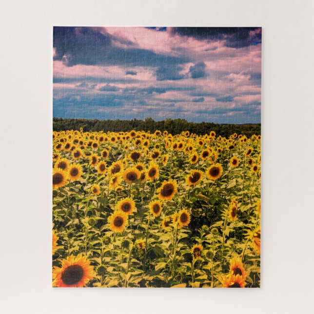 Impossible Puzzle - Sunflower Field (Vertical)