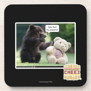 Imposter! Coaster