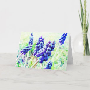 Impressionist Style Grape Hyacinth Flower Art Card